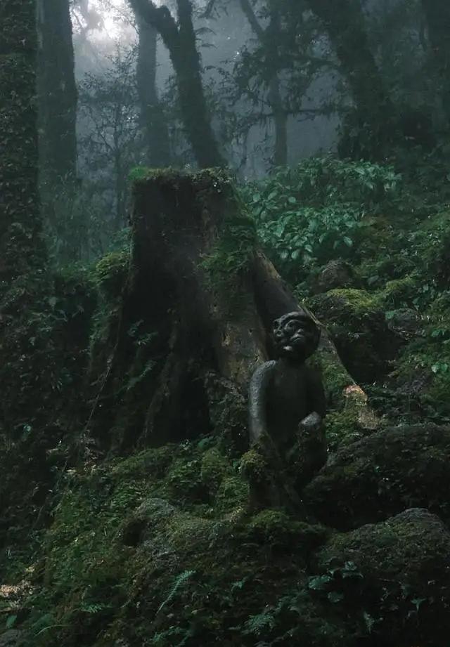 哀牢山爆火是打卡视频惹的祸吗 神秘颜料师探险引热潮