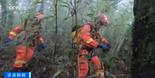 哀牢山里走着走着就遭遇浓雾 原始森林冒险需谨慎