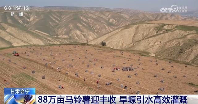 金秋时节果实累累映红农民笑颜 多地丰收“致富曲”唱响