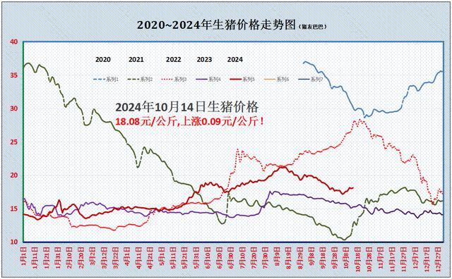 一夜上涨，北方猪价“一片红”！