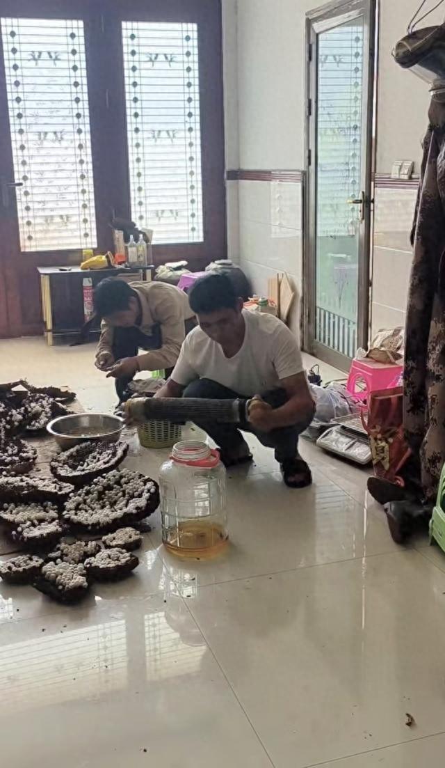 男子未做防护喂蜂 虎头蜂突然飞出