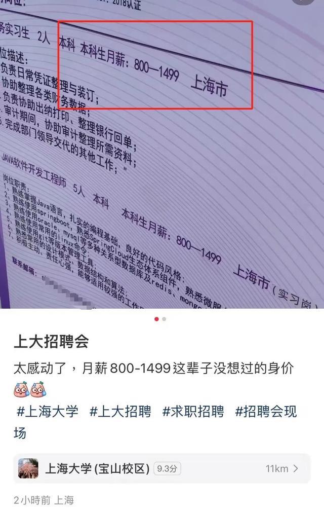 211高校招聘会实习程序员月薪仅800 求职现实引热议