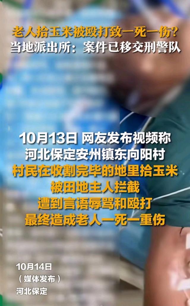 当地回应老人拾玉米被打致1死1伤 警方已介入调查