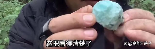 现实版云南虫谷里有什么 探险博主揭秘哀牢山之谜-第2张-新闻-剧情社