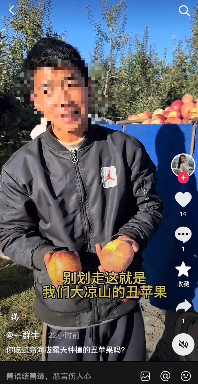 当地调查哥读北大弟辍学卖苹果事件 博主虚假摆拍剧本