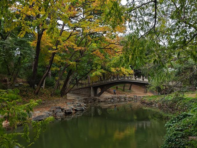 北京：颐和园后溪河，雨中赏秋 秋色如画