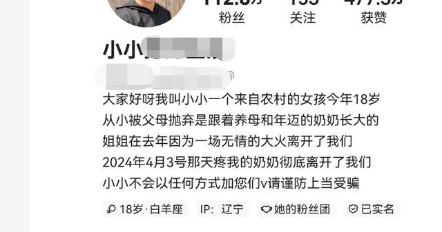 小小摆拍卖惨被抓 虚假身世博同情