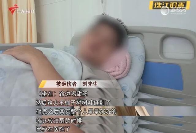 男子室外就餐被树叶砸骨折 警惕“空中炸弹”