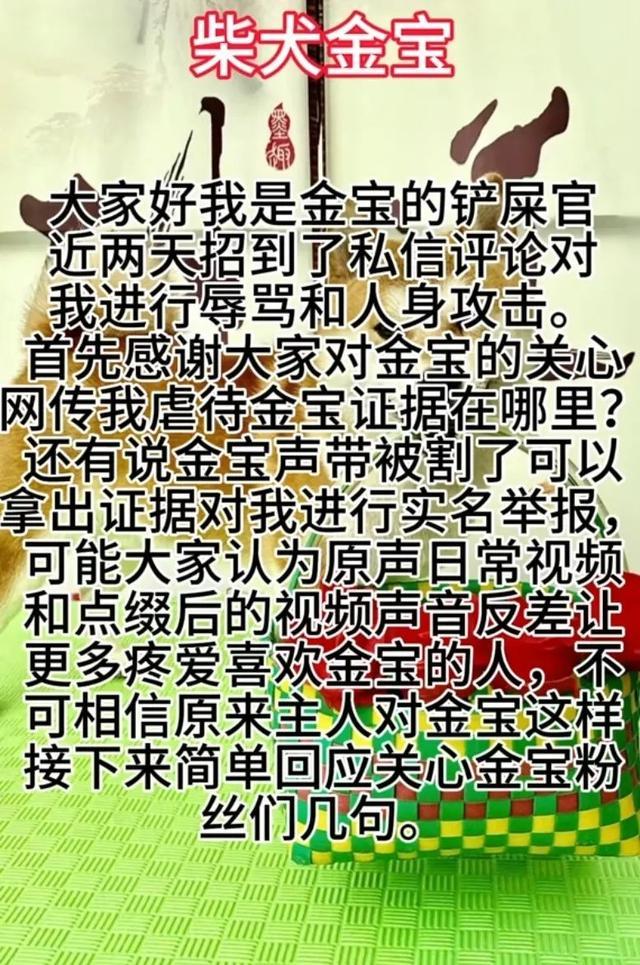 百万粉丝宠物博主被指虐狗