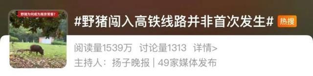 我国野猪致害省份达26个