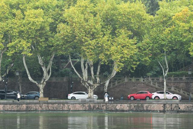 “康妮”将远离浙江沿海 风雨影响今晚减弱