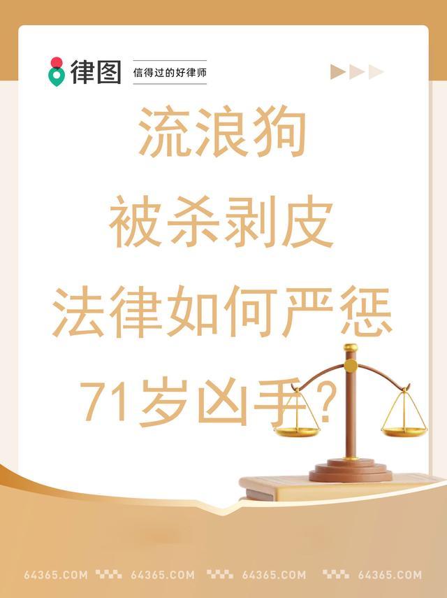 杀流浪狗伤人老人已被警方控制