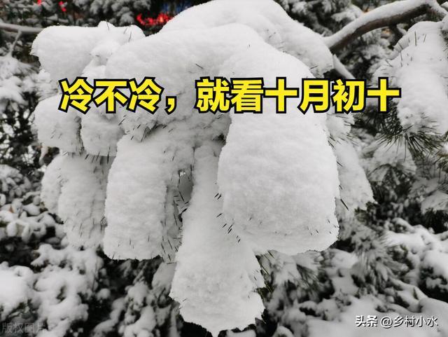 “有雪无雪，看十月初十”今冬降雪多吗？