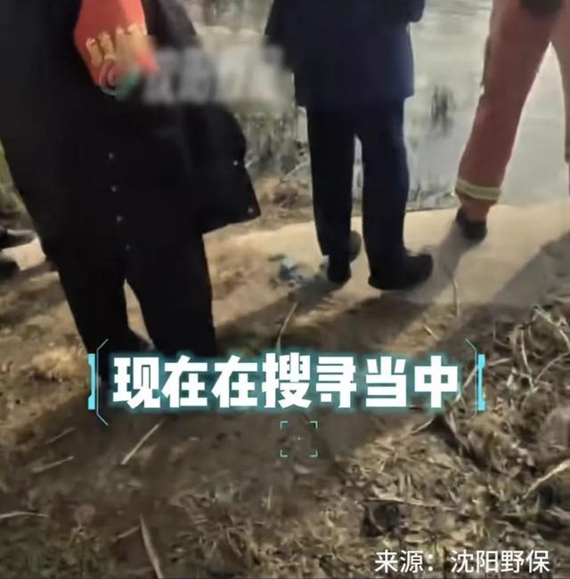 沈阳再次发现鳄鱼 市民需保持警惕