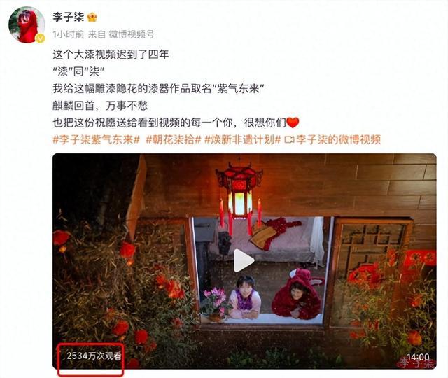 李子柒新视频外网评论