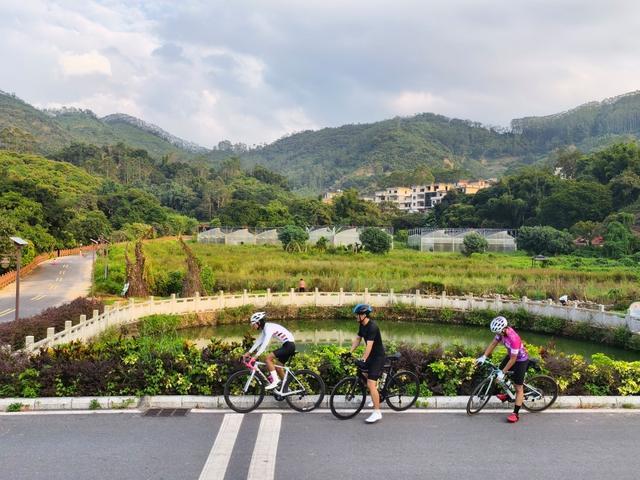 广州打造2500公里乡村风景道