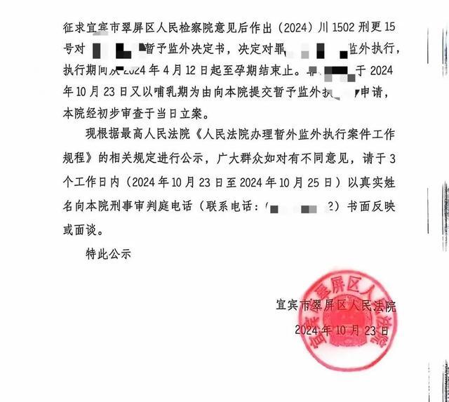 95后女罪犯4年怀孕产子3次 利用怀孕逃避刑罚