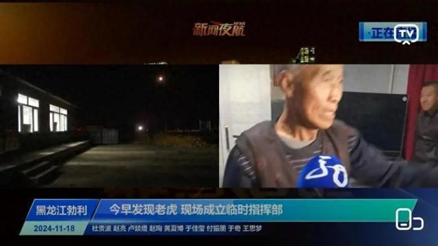 多部门连夜进山搜寻咬人猛虎