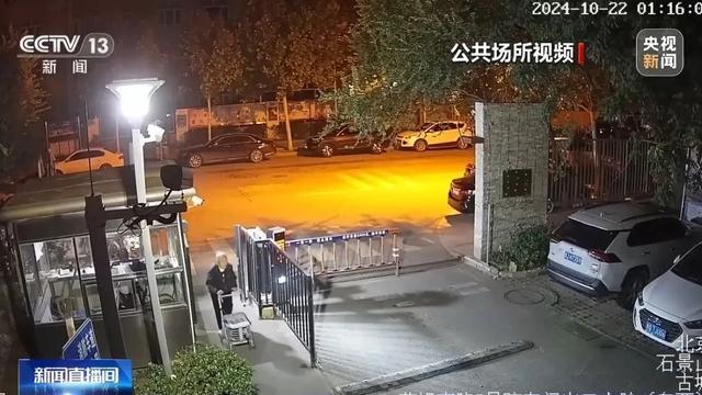 视频 警犬找回91岁老人默默守到120赶来 暖心救援全程记录