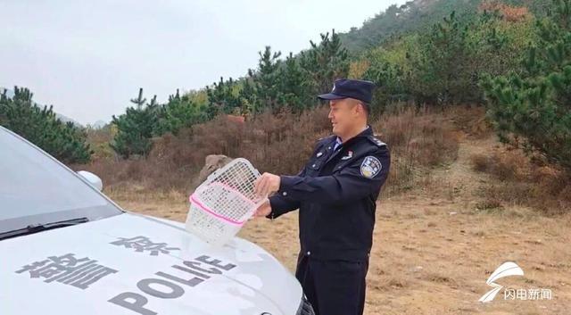 警方放生一只迷路猫头鹰 成功回归自然栖息地