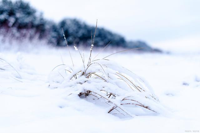 今日小雪“六十年一遇” 有啥说法？预兆寒冬将至