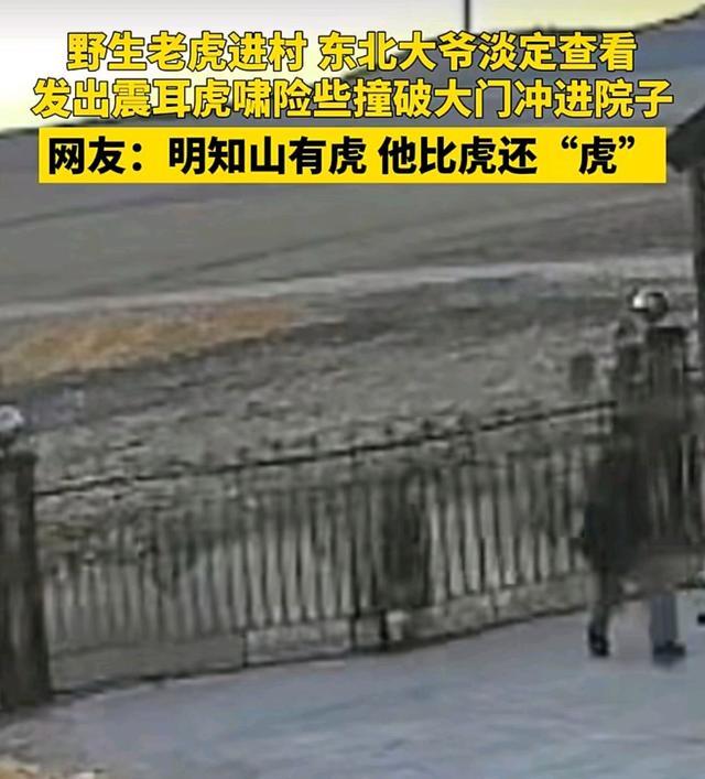 被老虎咬伤老人最新情况 幸运保住左手