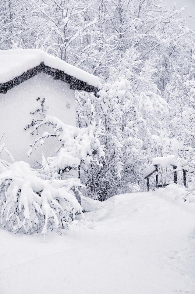 今日小雪“六十年一遇” 有啥说法？预兆寒冬将至