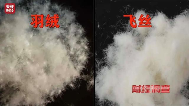 部分劣质羽绒服填充物是飞丝 直播间虚假宣传曝光