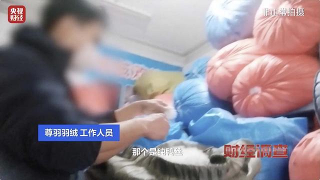 央视曝光羽绒被“以丝充绒”乱象 假羽绒制品泛滥