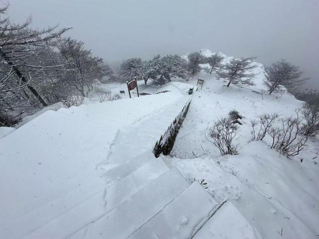 泰山积雪深度近20厘米达暴雪量级 景区暂停开放确保安全