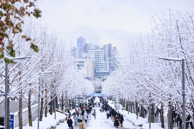 11月27日在韩国首都首尔的延世大学校园里拍摄的雪景。新华社 图