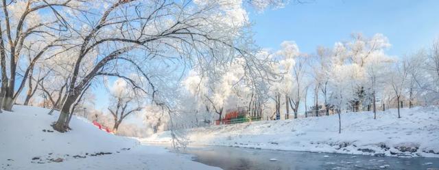 走进哈尔滨的雪后世界 解锁冬日童话