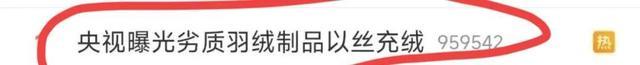 新华网评羽绒服作秀 黑心商家“骗暖费”
