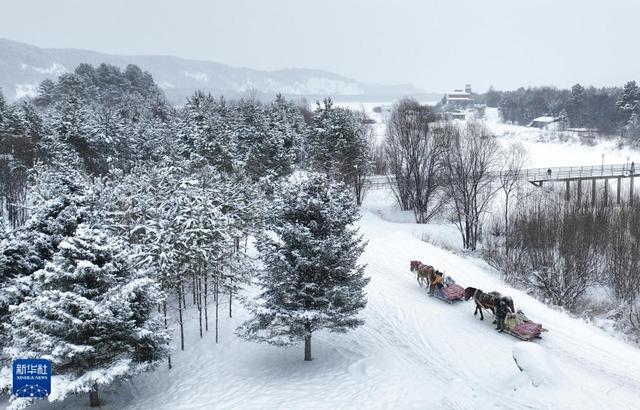 神州北极冰雪旅游升温 极寒找北之旅眩惑旅客