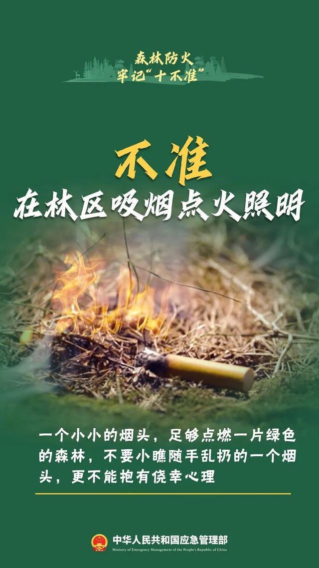 游客爬武夷山烧火堆发朋友圈 森林防火意识亟待加强