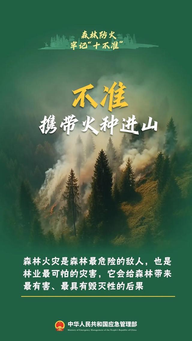 游客爬武夷山烧火堆发朋友圈 森林防火意识亟待加强