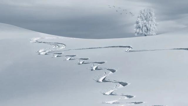 大雪时节早睡晚起、养阳气，行家谱招冬季若何珍爱饮食起居 得本日时防寒御寒