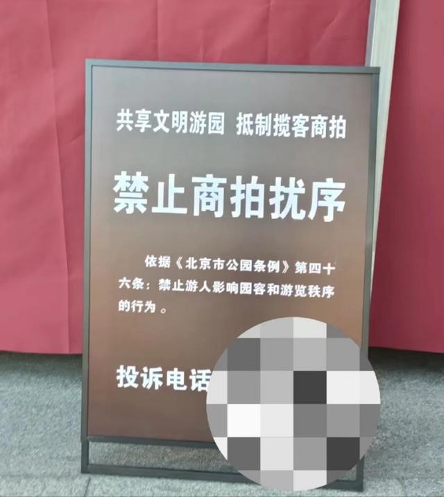 北海公园明确禁止商拍？回应：这次“下了重锤”，遇到可投诉 游客体验获重视