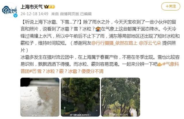 上海下雪了？市气象局回应 实为冰粒和霰粒子