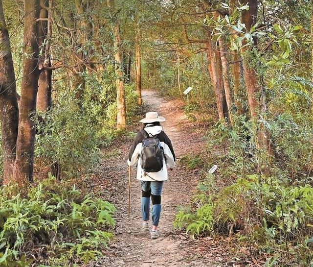 深圳上新“氧”生郊野径