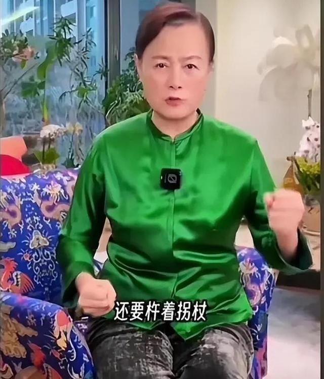 史晓燕炮轰向太 直播反击引发热议