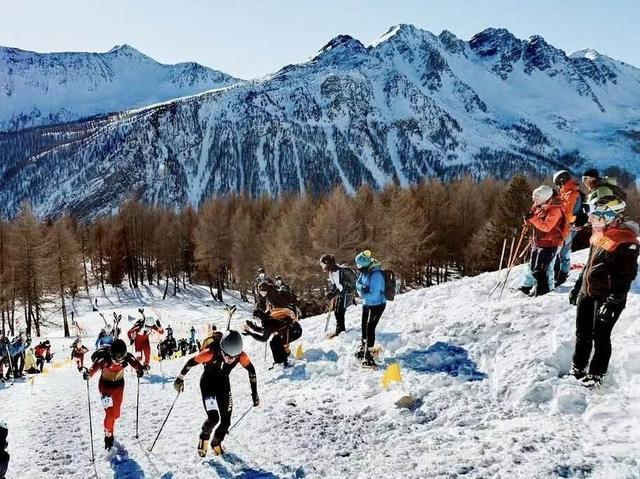 中国滑雪登山队！5人参赛揽7金 米兰冬奥有望创历史-第3张-新闻-51硕博论文