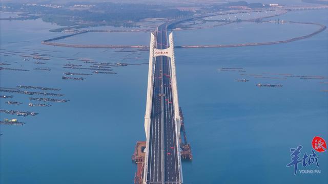 阳江港大桥通车试运营 桥见未来新地标