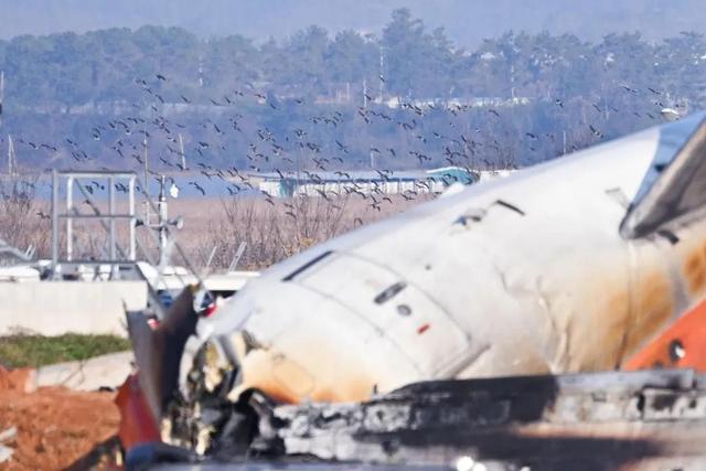 韩33岁幸存空少恐全身瘫痪 唯一男幸存者面临严峻伤情