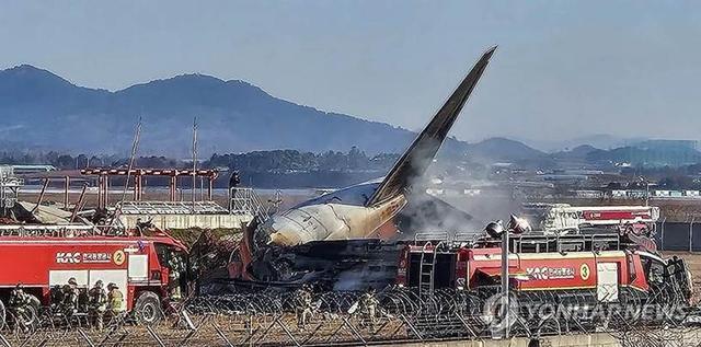 韩国客机坠毁事故细节披露