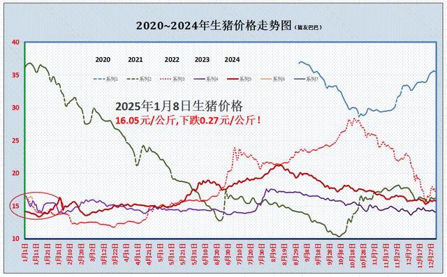 跌了！猪价下跌“一塌糊涂”