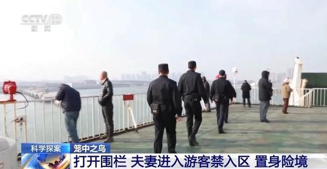 央视完整还原男子推妻坠海案 真相逐渐浮出水面