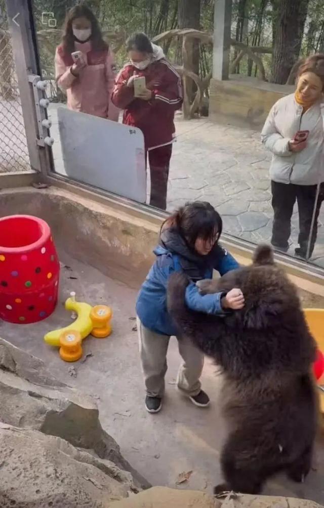 女饲养员回应与棕熊“打架”