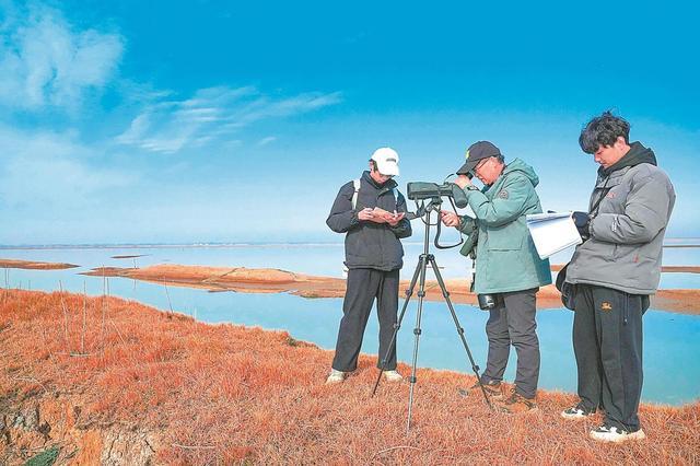 安徽启动越冬水鸟同步监测 掌握水鸟种类与数量