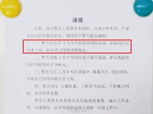 云南一警犬流畅4周被基地“通报” 幺幺零的非凡本事